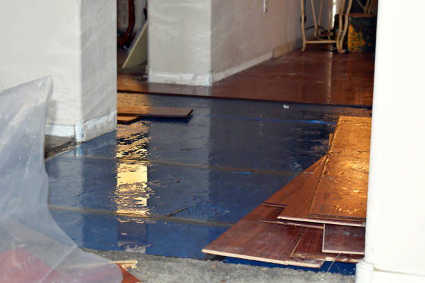 Professional Flood Damage Repair technician working in Marion, MS